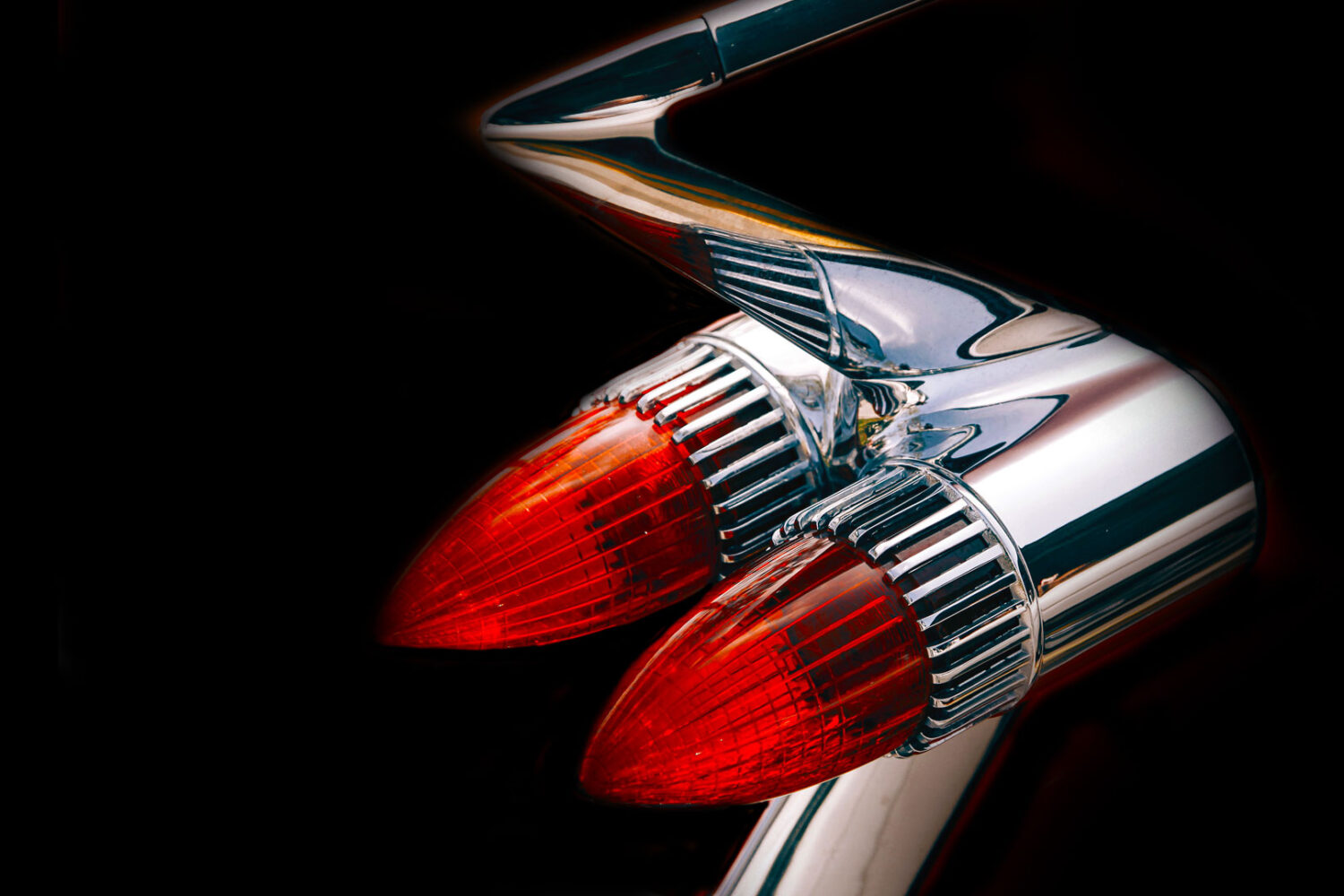 Fantastic Fins 2 web slider