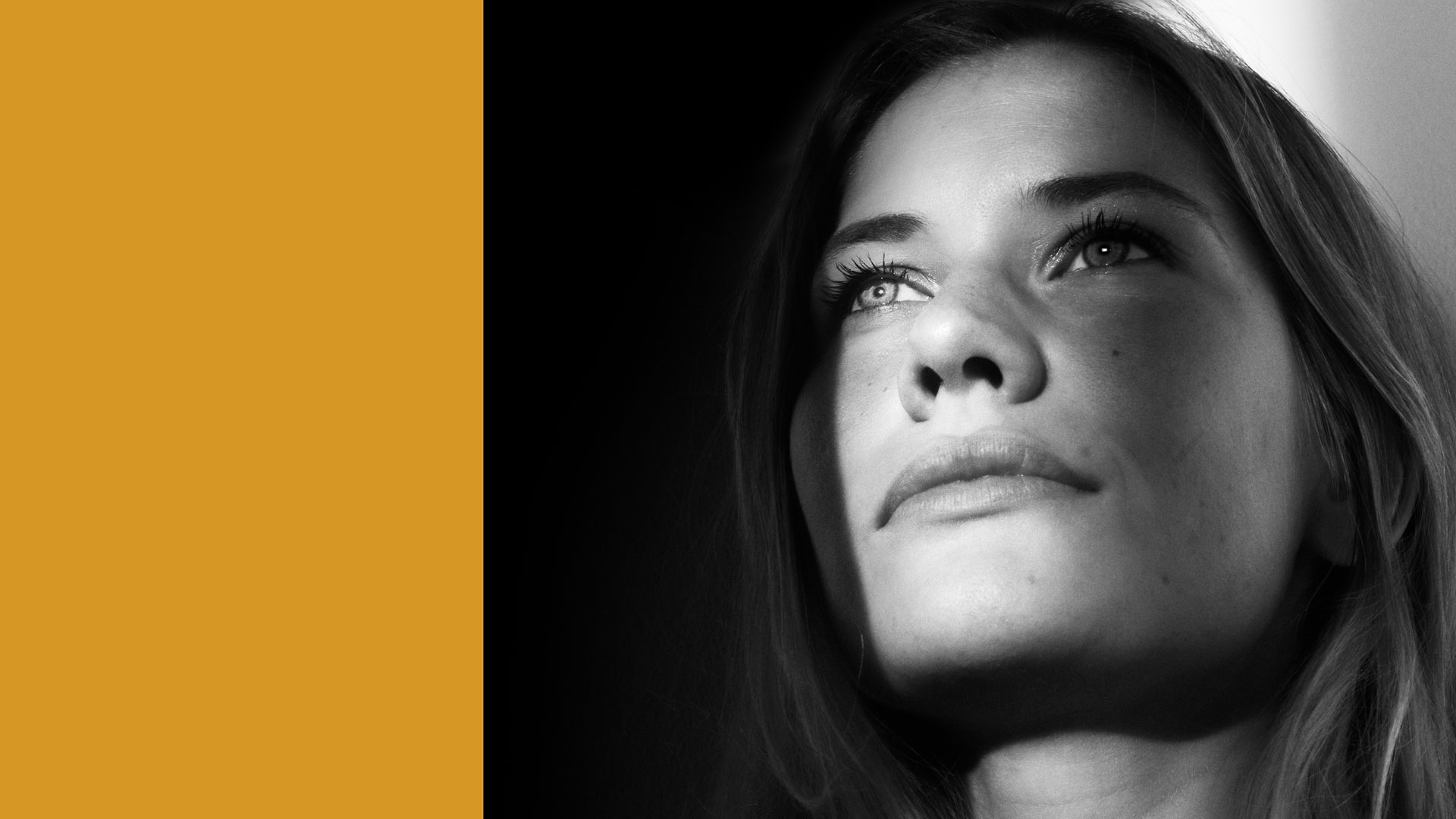 SCP master far yellow