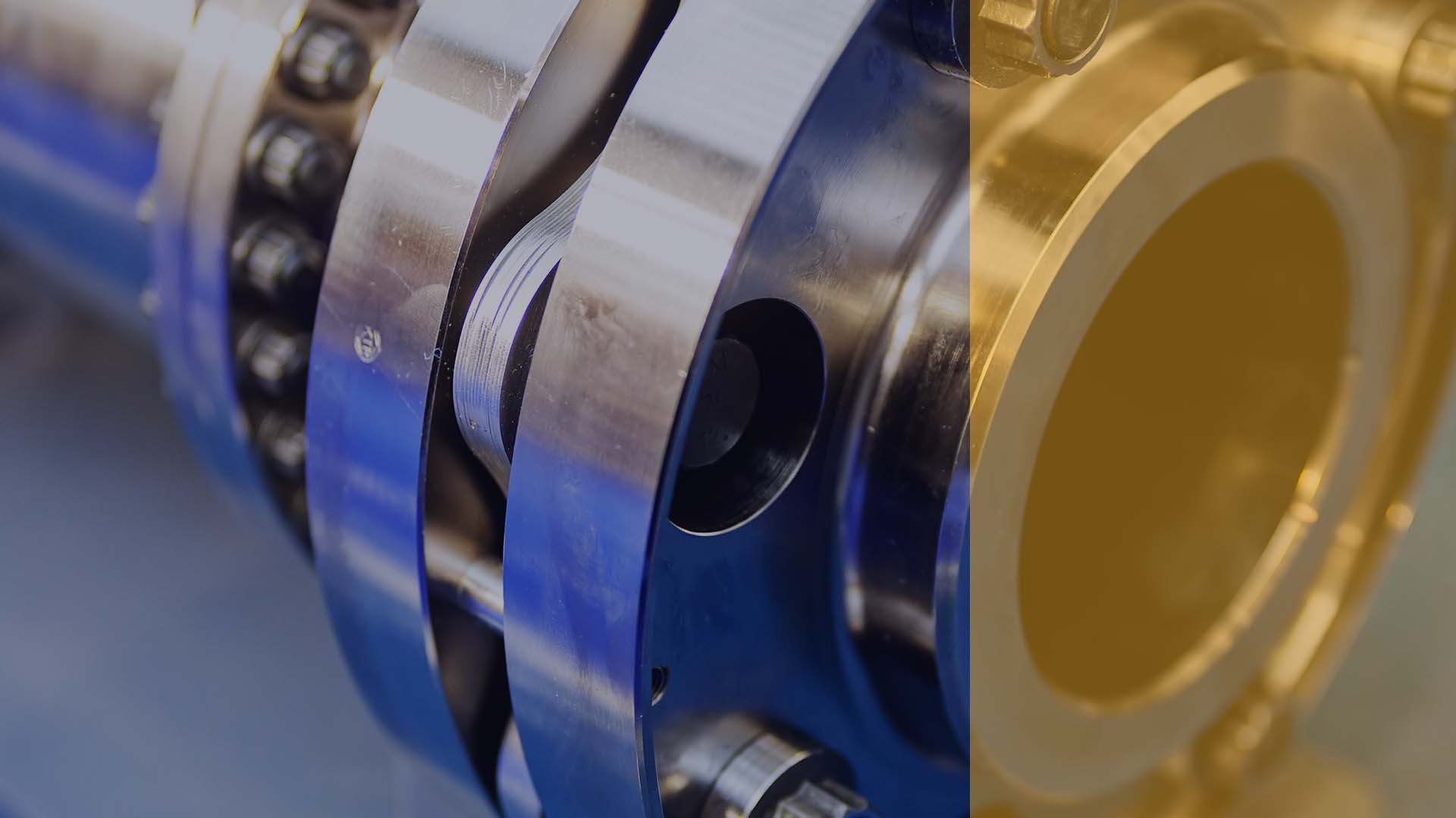 Automate To Evolve 5